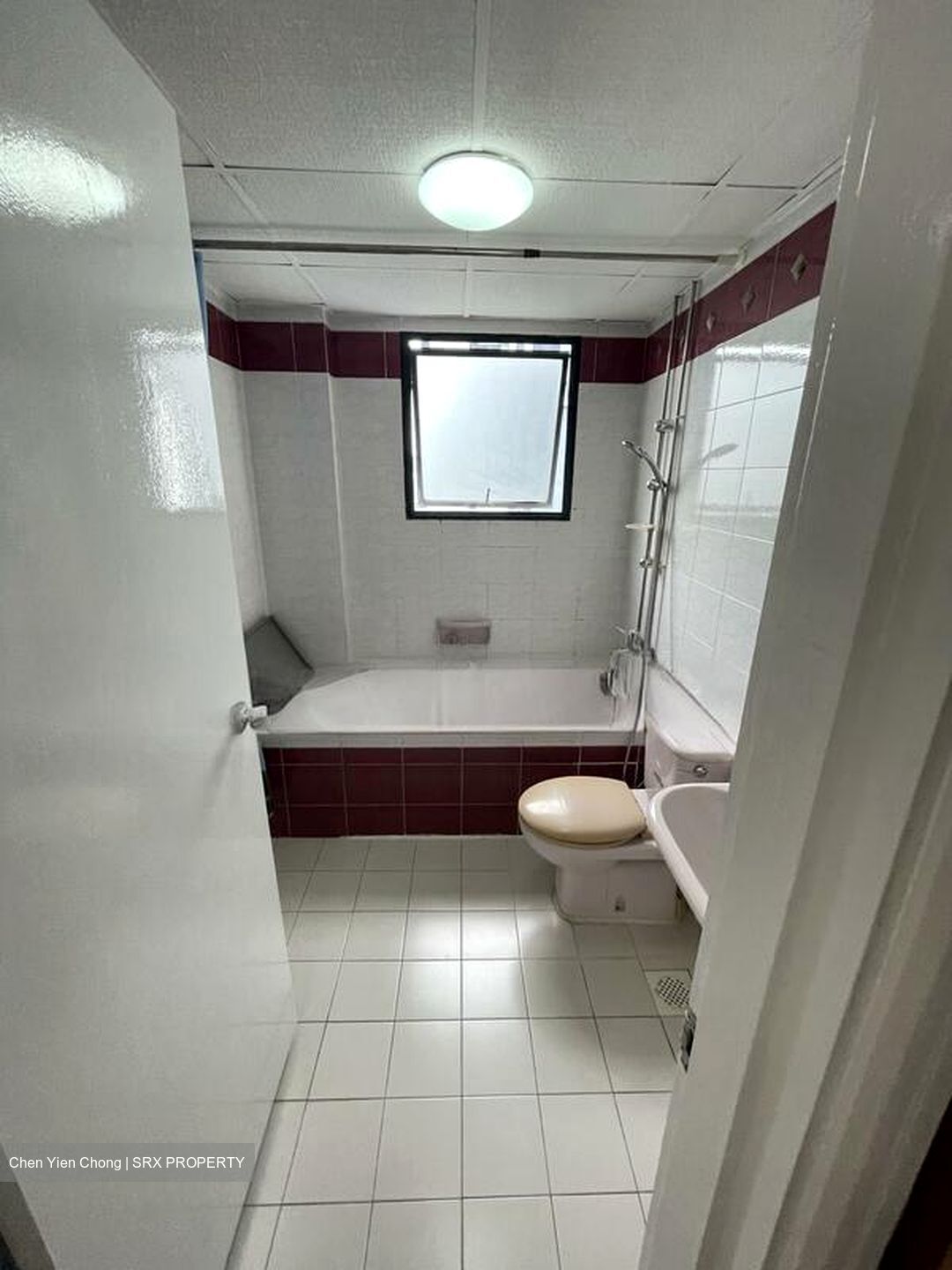 Central Green Condominium (D3), Condominium #499966661